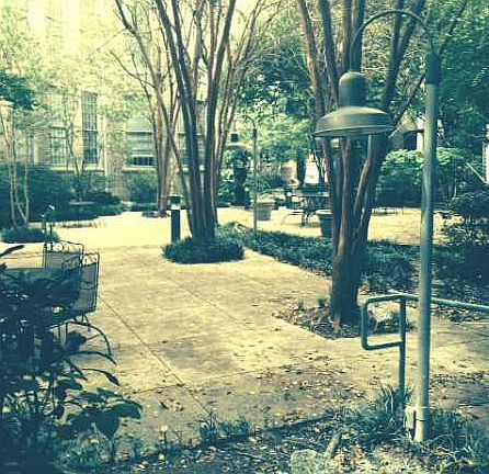 2nd image of 920 Poeyfarre St APT 126