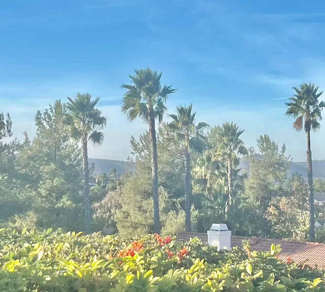 4 bed, 2369 sqft, $4,495 — Photo 4