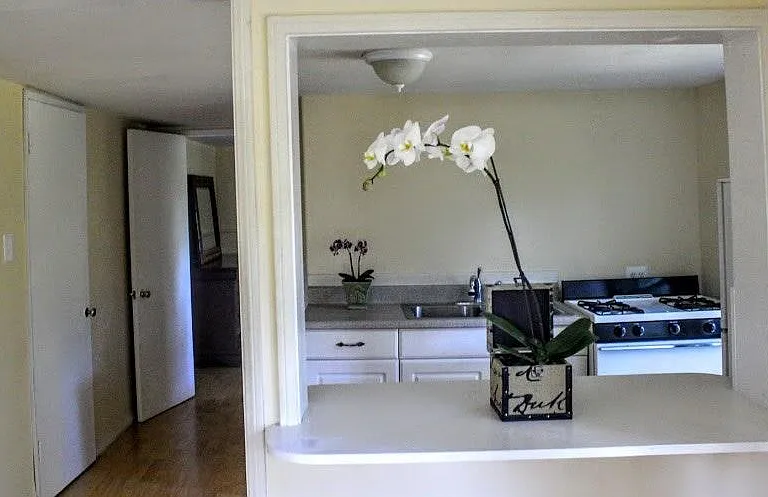 view of kitchen fm living room