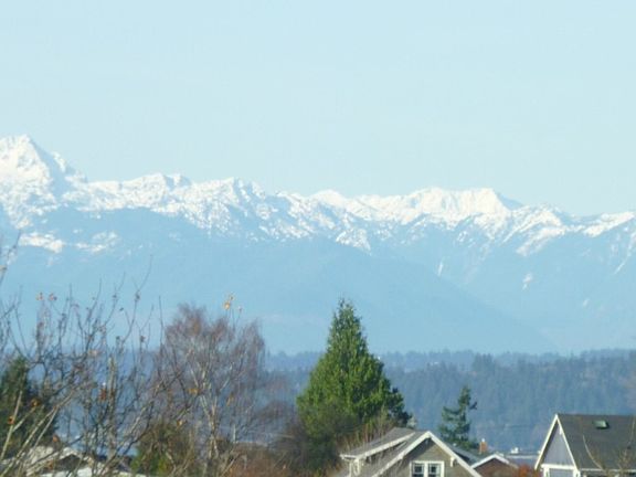 The view of the Olympic Mountain range is spectacular