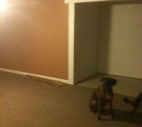 basement