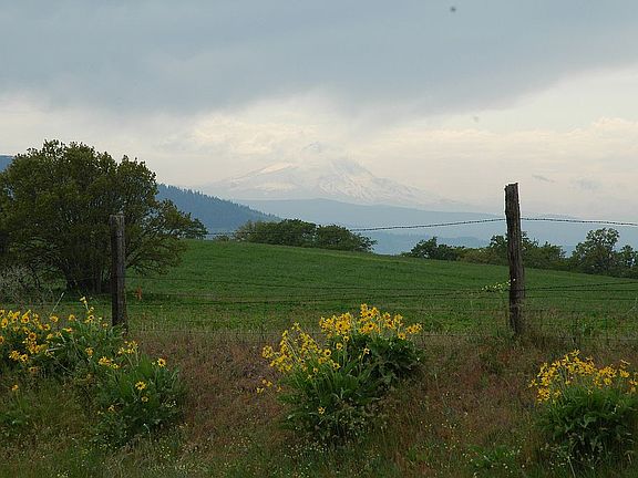 Mount Hood looking south
