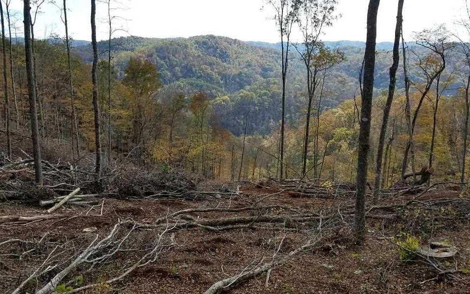 1st image of 00 (59.32ac) War Creek Rd