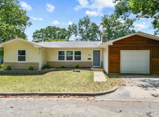 310 Ellison Ave, Branson, MO 65616