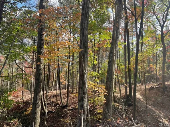 0 E View Rd W, Dansville, NY 14437