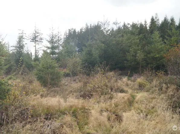 0 Off of W Ford Loop Road, Elma, WA 98541