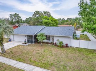 1213 Callista Ave, Valrico, FL 33596