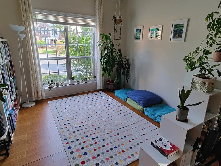 Bonus room