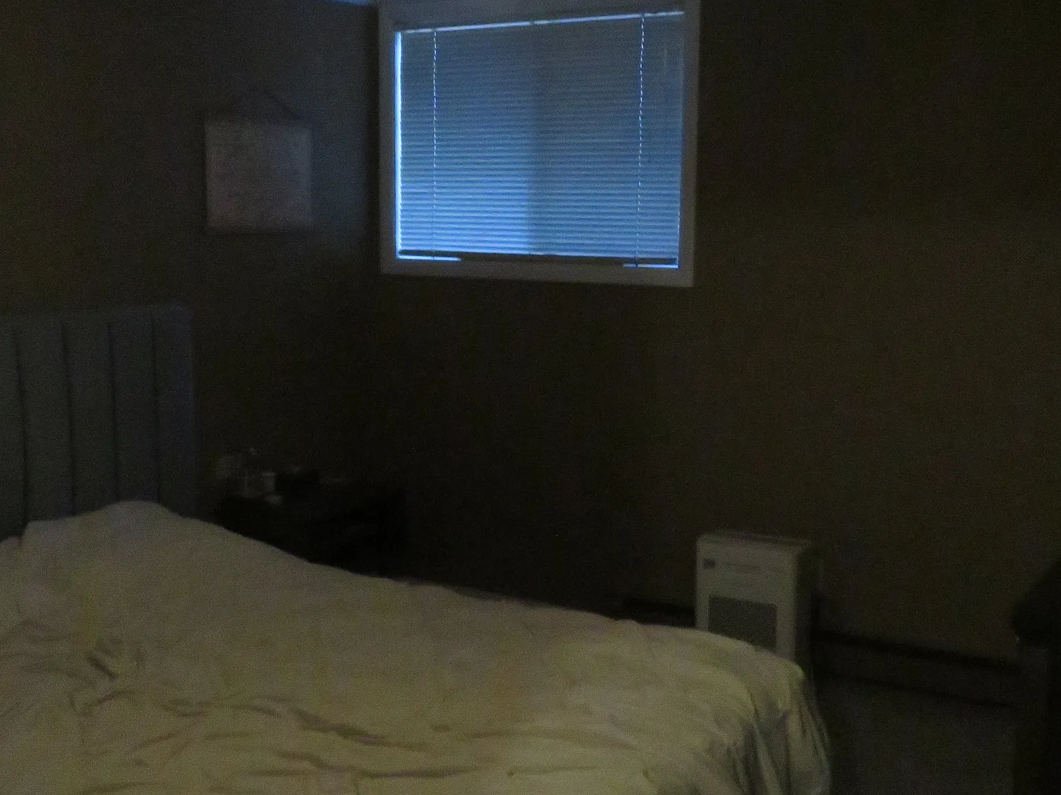 1 bed, 1000 sqft, $2,300 — Photo 3
