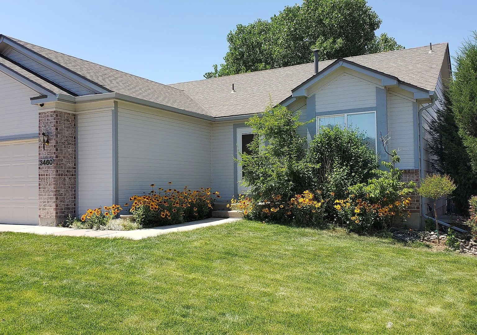 For Rent: Beautiful Ranch Home at 3460 Bexley Drive, Colorado Springs, CO 80922 — Photo 1