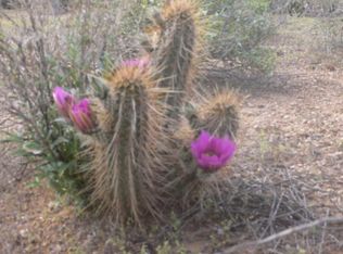 29006 N 78th St #40, Scottsdale, AZ 85266