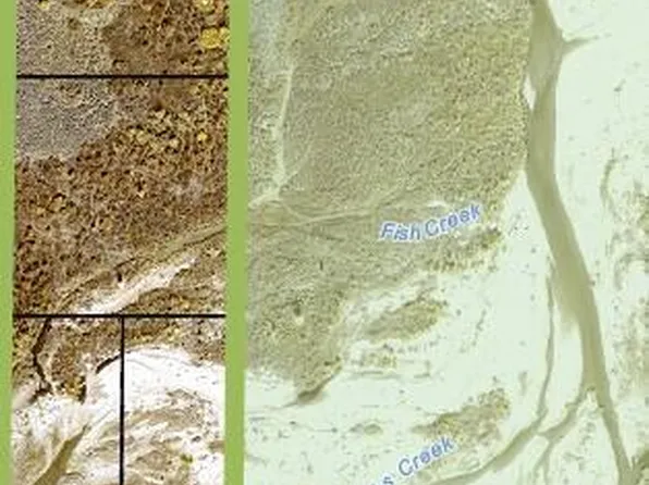 Gros Ventre Trl, Kelly, WY 83011