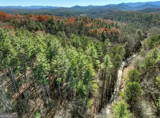 15.46 Dun Mill Creek Rd, Blue Ridge, GA 30513