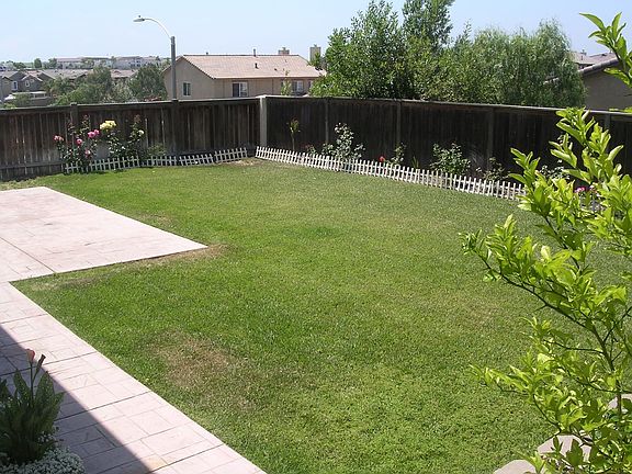 Spacious Backyard