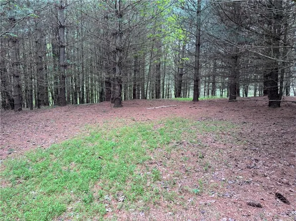 X Green Meadow Ln S, Ararat, NC 27007