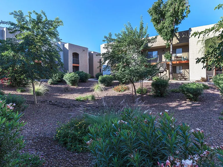 Paradise Foothills — Photo 18