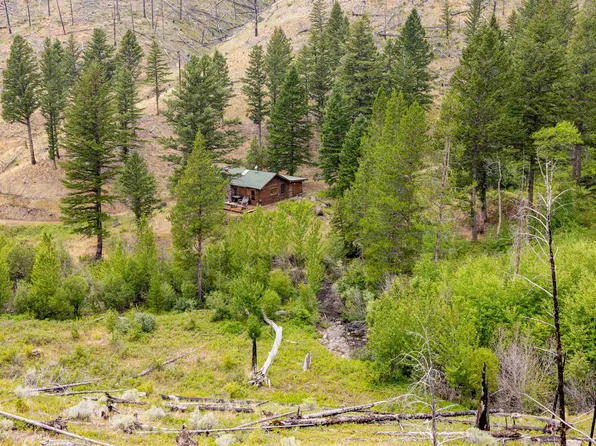 F Moss Creek #F, Cody, WY 82414