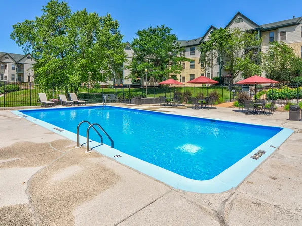 Autumn Woods of St Anthony