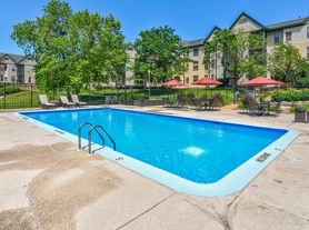 Autumn Woods of St Anthony