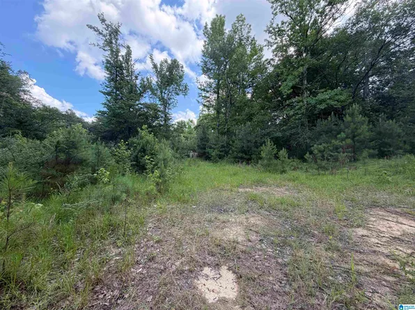 350 Oscar Bradford Rd #1, Warrior, AL 35180