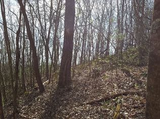 LOT 38 Forest Hill Dr, Blue Ridge, GA 30513