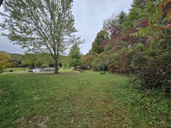 1083 Rattlesnake Rd, Brockport, PA 15823