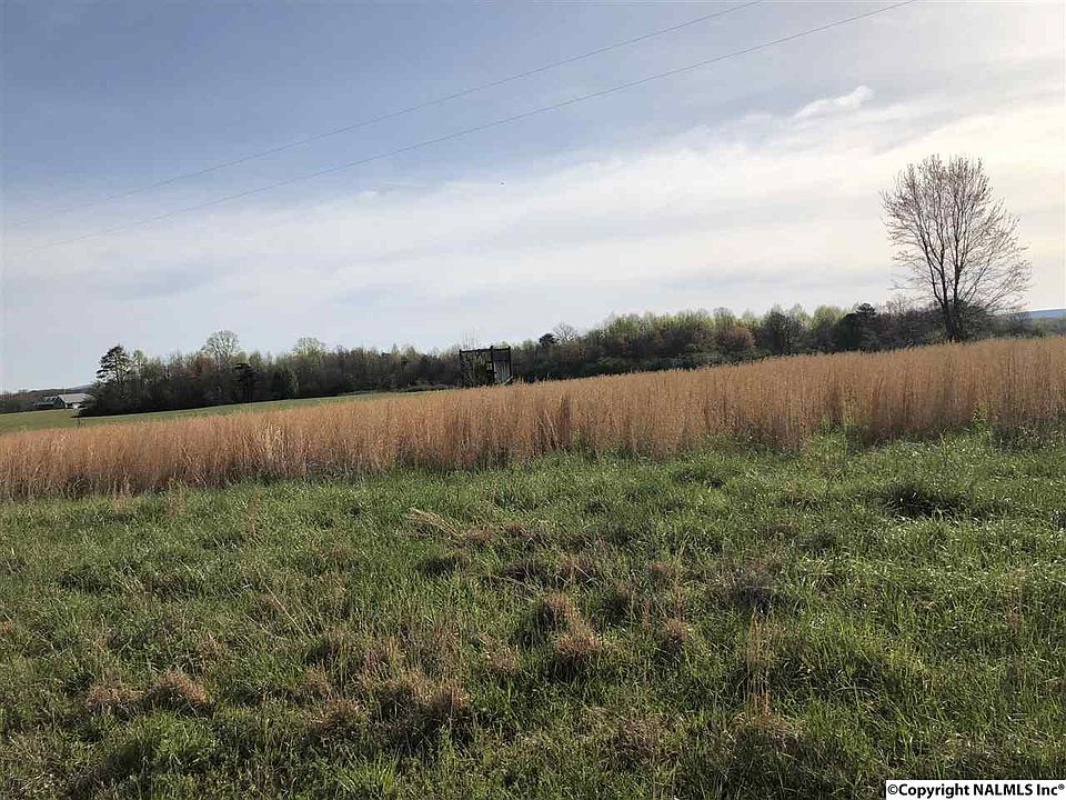 2nd image of 3038 County Road 667