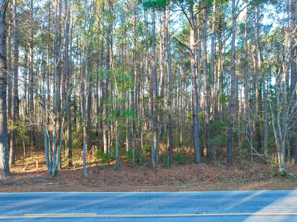 1167 Guerins Bridge Rd, Awendaw, SC 29429