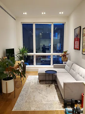 Rented by NY Living Solutions | media 14