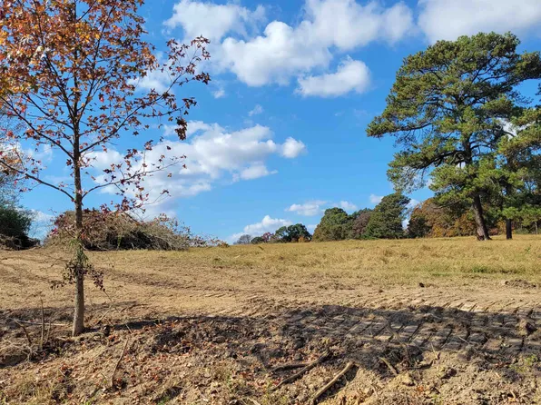 0 County Road 1439 Lot 3, Vinemont, AL 35179