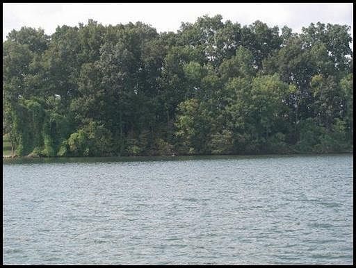 1st image of 178 Hiwonihi Trl