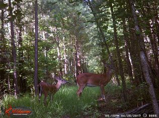 3428 Brick Bat Rd, Williamsburg, VA 23188