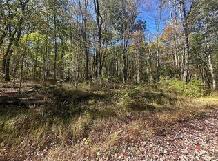 20 Rhododendron Dr, Terra Alta, WV 26764