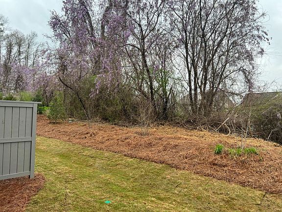 Back Yard Construction Progress
