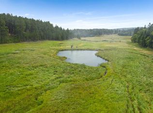 11860 Roubaix Lake Rd, Lead, SD 57754