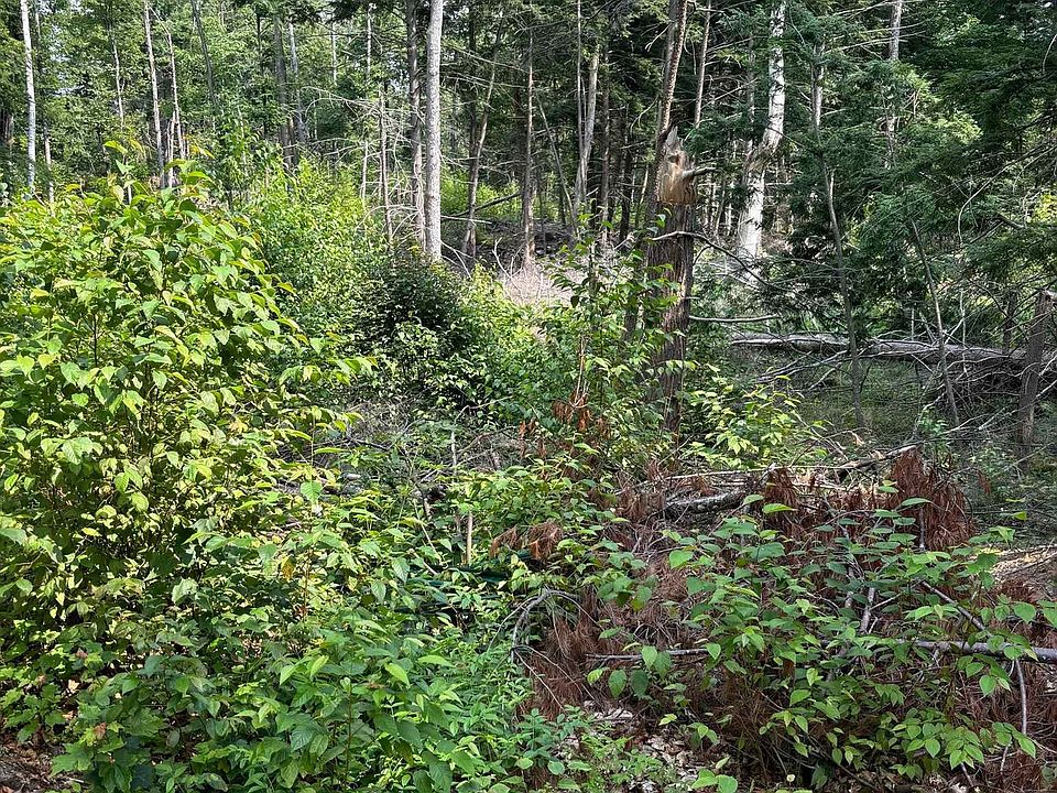 2nd image of 0 Access Road