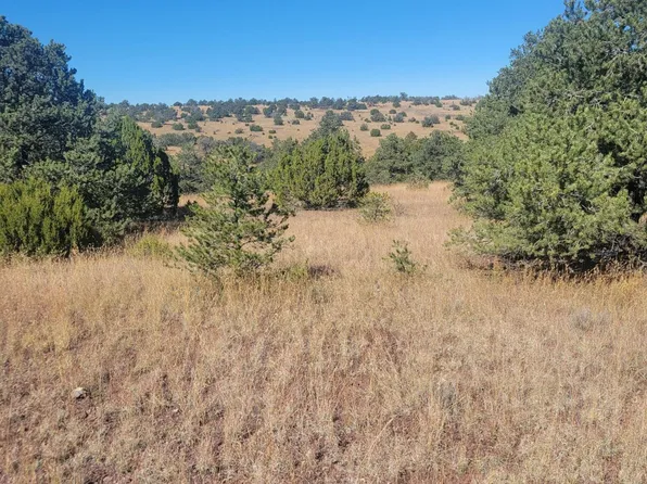 Off Powerline Rd, Quemado, NM 87829