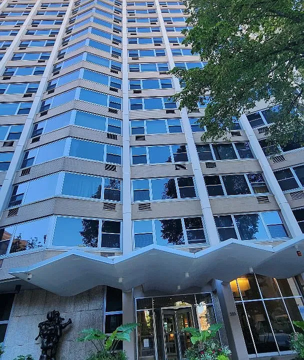 555 W Cornelia Ave #1301