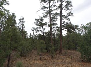 4561 W White Oak Ln, Show Low, AZ 85901