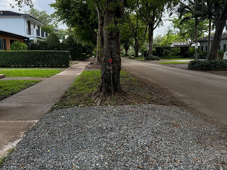 Allotted parking space
