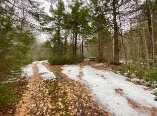 0 Hobbs Swamp Rd, Parsonsfield, ME 04047