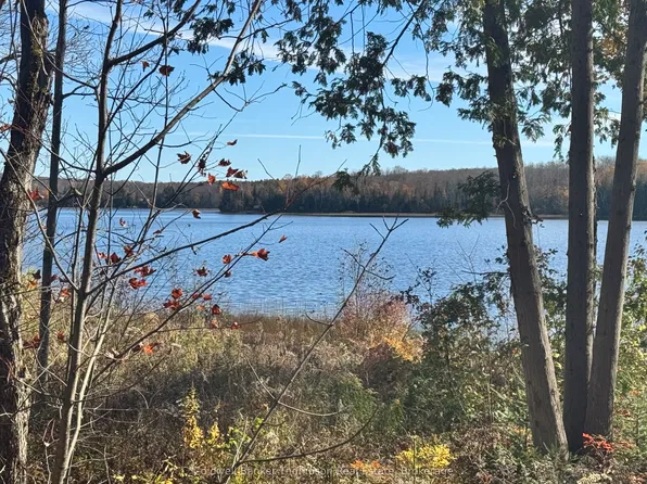 425 Bartlett Lake Rd, Ryerson, ON P0A 1C0