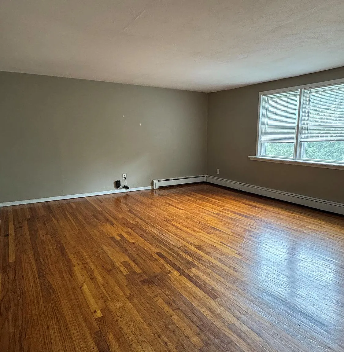 2 bed, 1.0 bath, 1200 sqft, $2,895 — Photo 2