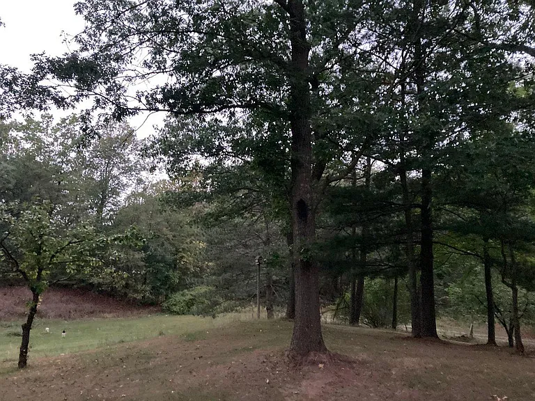 Ridge Ln — Photo 5