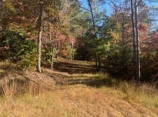 2 Chimney Ct, Ellijay, GA 30540