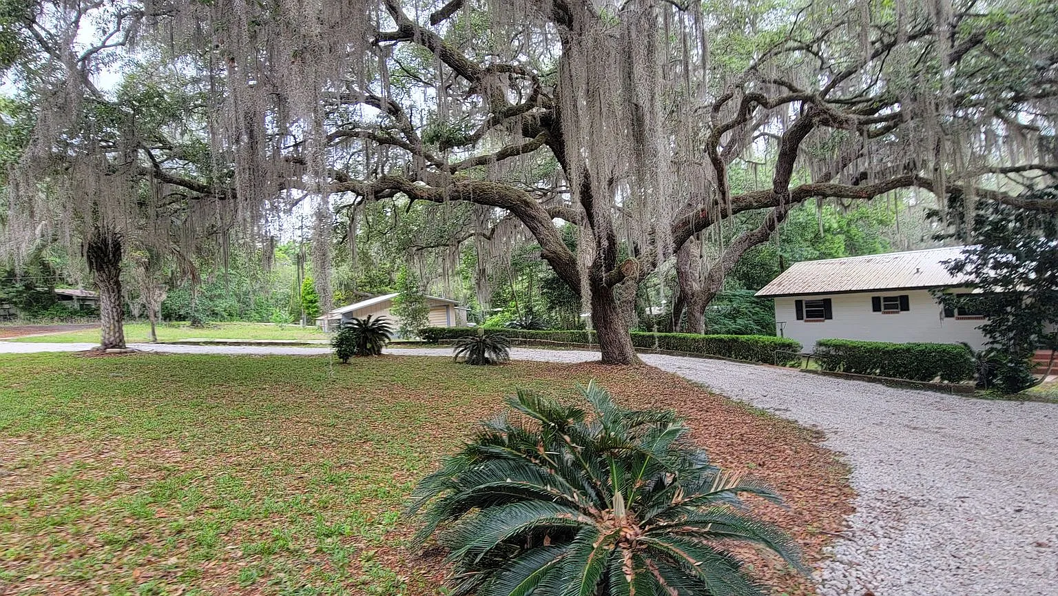 Keystone Heights - Lake House 4/2.5 — Photo 4