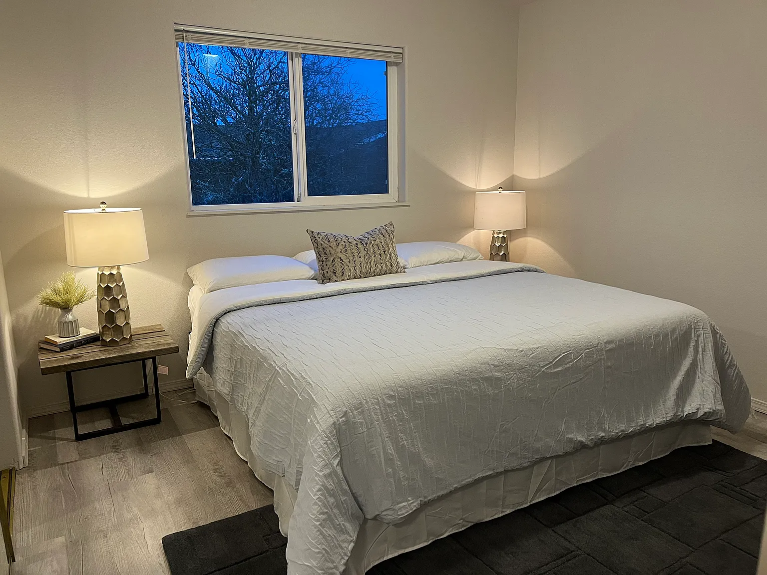 2 bed, 750 sqft, $1,750 — Photo 3