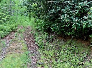 22 S Woods Mountain Trl, Cullowhee, NC 28723