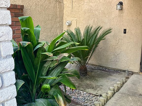 Garden at entry of home