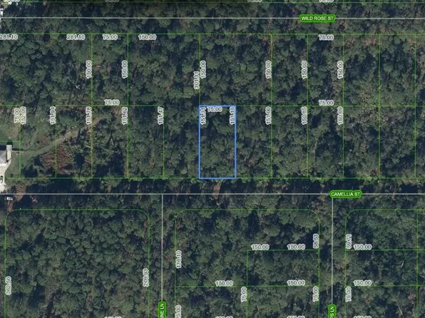 1412 Camellia St, Lake Placid, FL 33852
